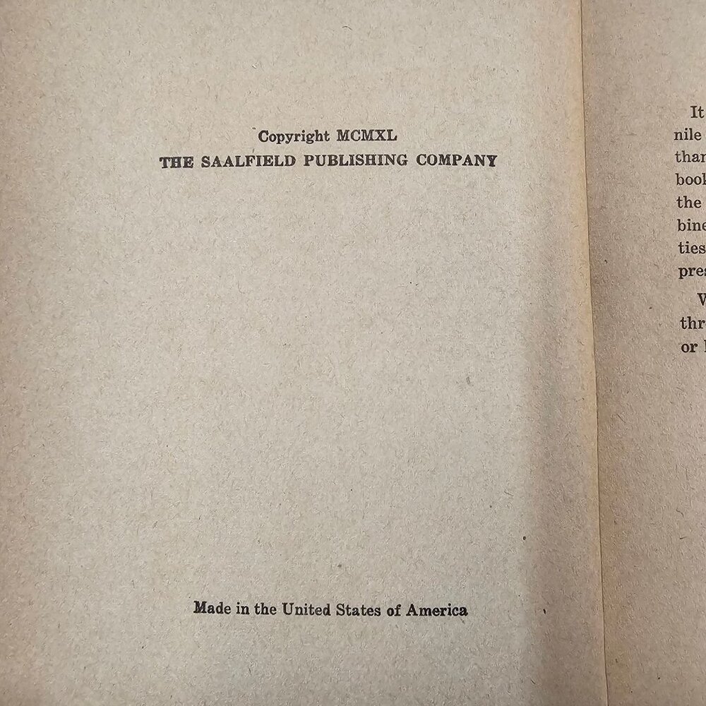 The Bobbsey Twins Laura Lee Hope In The Country 1940 Saalfield Publishing HC Lot - Picture 10 of 14